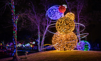 Affordable holiday lights limo rental in Parker, CO